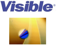 Visible name and logo-2 Visible name and logo-2